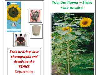 Sunflower – Share Your Results!