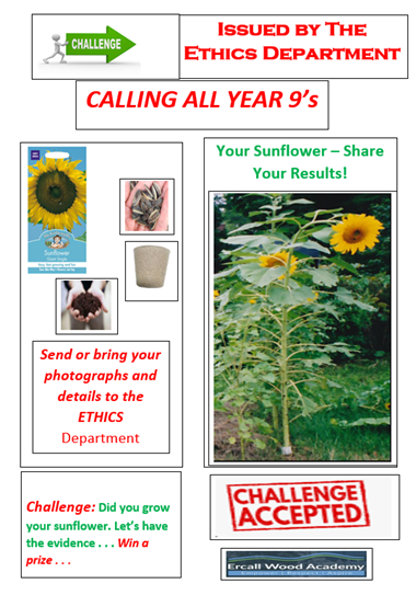 Sunflower – Share Your Results!